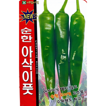 NEW 순한아삭이풋고추50립 오이맛고추