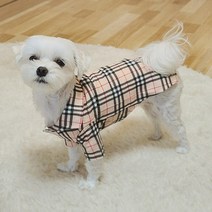 꼬미하우스 강아지 남방 명품 셔츠 체크티 사계절옷, 베이지
