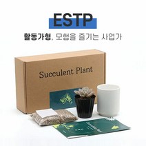 MBTI 다육이 키우기 키트 ESTP, 다육이 선택:아우렌시스