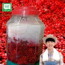 국산 강원도 산 오미자당절임 10kg 10키로 10킬로 오미자 당 절임 오미자청 국내산 오미자차 원액 엑기스 액기스 열매 생오미자 절임, 오미자 당절임 10kg