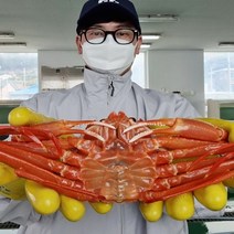 [산지직송] 대흥수산 정품 박달 홍게, 박달홍게 대 5마리(생물)