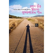 살면서 길을 잃었거든 산티아고에 가라:야고보 죽음의 미스터리를 찾아서, 토우, 김집