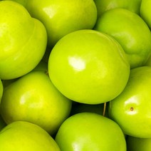 [착한식탁]가정용 썸머킹 아오리사과 9.5kg 꼬마소과, 단일속성