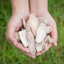 국산 백작약(함박꽃뿌리) 200g 작약 나무 차 효능 한방재료 한약재 약초, 13Y4_국산백작약(함박꽃뿌리)200g