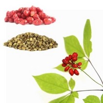 장뇌삼 산양삼 재배용 인삼씨앗 1kg 인삼씨 인삼종자 씨앗 모종, 1개