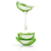 천연사랑 알로에 베라젤 (Aloe Vera Gel), 1개, 100g