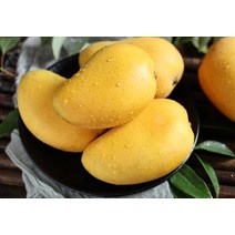 애플망고 5kg 망고먹는법 남여노소 어르신 건강식 병예방 수험생 비타민C 피로, 상세페이지 참조, 상세페이지 참조, 상세페이지 참조