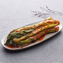 [KT알파쇼핑][반장마켓] 여수노반장 여수돌산갓김치 1kg 국내산100% 외 기타김치, 포기김치 1kg