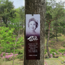 [1년보증]이너눅스 TF-250 메탈포토 수목장나무금속위패 현판 추모패 세트, 사진문구형1- 사랑A, 컬러, 문구3번