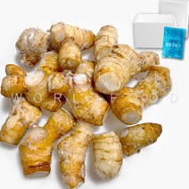 월드푸드 냉동 흰색 갈랑갈 갈랑가 galangal 1kg rieng trang, 1개