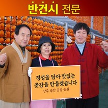 상주 곶감 반건시 20개 30개 40개 선물세트 상주골안곶감농원, 50g 40개, 50g