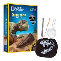 유아과학 공룡이빨 모형화석 발굴키트 방과후 저학년 엄마랑 소그룹체험