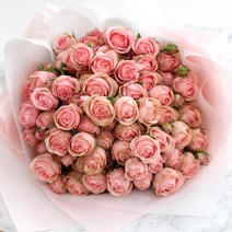 생화 100송이 백송이 장미 꽃다발 결혼 기념일 생일 졸업식 선물 꽃배달 예약