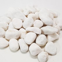 한소픈 흰자갈돌 (대) 500g 가드닝소품 수경재배 마당돌 스몰월드 미술재료
