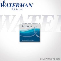 워터맨 미니 카트리지 블루