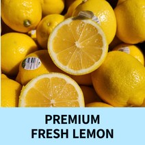 미국산 레몬 중대과, 1kg(8~10과)