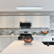 다비드 시스템 LED 주방등 30W 주광색 6500K 삼성칩 당일발송, 단품