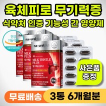 무기력 신경성 위장 복부 통증 육체 피로 영양제 추천 피로감 몸이 피곤할때 피로할때 먹는 간영양제 간보호제 알콜분해 알콜성 간기능 개선제 속쓰림 속쓰릴때 구토 위장통 밀크시술