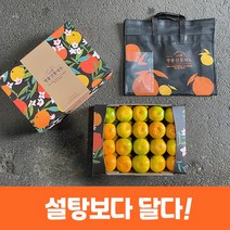 제주 감귤 노지 감귤 제철 제주도 노지귤 2kg 3kg 5kg 가정용, 10kg 중대