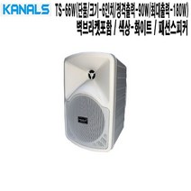 TS-66W 카페 미용실 인테리어 카날스 벽부형스피커