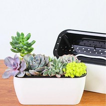 저면관수 자동급수 화분 재배 베란다 채소재배기 실내