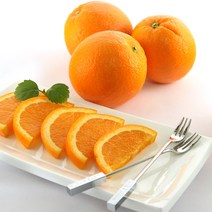 원시인농산 발렌시아 오렌지 9KG 45과전후 중과 쥬스용, 9kg (중과 45과 내외), 1개