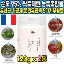 순도 95% 초유 락토패린 락토페린 농축물 모유 우유 분리유 단백 추출 분말 락토페린 lactoferrin 단백질 가루 분말 파우더 엠비피 mbp 모로오렌지 19종 유산균, 120g X 2통