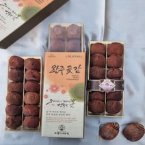 완주 운주 대둔산 흑곶감 1팩선물세트 10과 12과( 반건시 건시) 기업단체선물세트, 50g이상 10과 선물세트