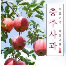 부사 충주사과 3kg 꿀사과 맛있는 건강한과일 아침과일 가을과일, 10과 ~ 11과, 1개
