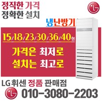 LG 휘센 냉난방기 냉온풍기 스탠드 15형 18형 23형 31형 40형 인버터 절전형 업소용, PW1103R9FR 31평 (380v)