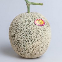 FUNET 고당도 머스크 칸탈로프 메론, 1박스, 11_메론 머스크 중과 2통