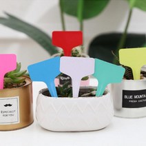 BK소형 식물 화단 꽃 화분 라벨 네임택 이름표 100P, 2.화분이름중형100개