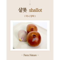 [Farm Nature] 샬롯 (미니양파), 200g