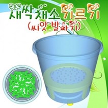 새싹 채소기르기 씨앗발아기 (1인용), 1개