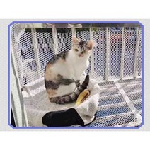 안전펜스 격리 반려동물 울타리 케이지, 매우 두꺼운 0.8 구멍 - 폭 20cm - 길이 3미