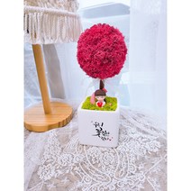 더별꽃 모스 토피어리 화분 집들이 개업용 선물 캘리그라피화분 DIY패키지, 라벤더블루(하늘)