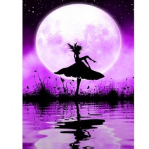 DIY 피포페인팅 달빛 요정 나비요정 인물화 색칠하기 여신 미녀 성인 쉬는 시간 즐기는 스트레스 해소 유화그리기 집콕취미 선물용 액자프레임포함 40*50CM, 달의요정그리기G번