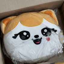 장원영인형 레이 가을 안유진 장원영 아이돌 IVE 이서 아이브인형 리즈, 3 리즈 미니브 인형