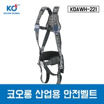 코오롱 산업용안전벨트 KDAWH-221 전체식 안전벨트, 1개