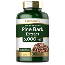 Horbaach Pine Bark 호바흐 파인 바크 소나무 껍질 6000mg 180캡슐