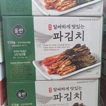올반 알싸하게 맛있는 파김치 1.1kg, 아이스박스 포장