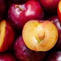 자두 2kg 추희자두 국산 자두 가을자두 후무사자두