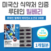 빌베리 미국산 루테인 마리골드 메리골드 꽃 안토시아노사이드 식약처 인증 농축분말 추출물 비타민A 비타민E 눈 건강 영양제 캡슐 알약 케이스 증정