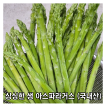 [국내산 / 국산] 생 아스파라거스 1kg 싱싱한 빼빼주스 해독주스 생아스파라거스 당일수확 농장직배송 산지직송 그린 빼빼쥬스 빼빼 쥬스 주스 해독