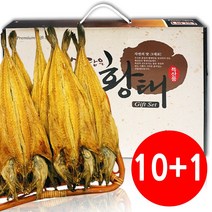 용바위골 용대리 황태포 왕대 10미 크기 산지직송 황태, 황태포 중대 10마리, 1개
