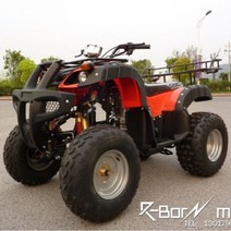 네발바이크 산악 4륜구동 짐운반 소형 사륜바이크 오토바이 레저용 ATV 농업용, 빨간색