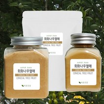 바른건강 스푼증정 회화나무 열매 추출물 괴각추출분말 회화나무열매추출분말 회화나무열매가루, 2개, 300g