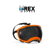 렉스스펙스 옐로우 RexSpecs 고글 V2 강아지고글, 23 V2 오렌지