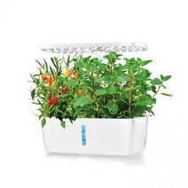 가정용 LED 가습기능 수경식물재배기 새싹재배