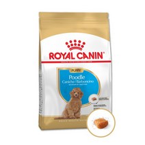 로얄캐닌 푸들 퍼피 오메가3 피모 소화 관리, 1.5kg x 1개, 1개